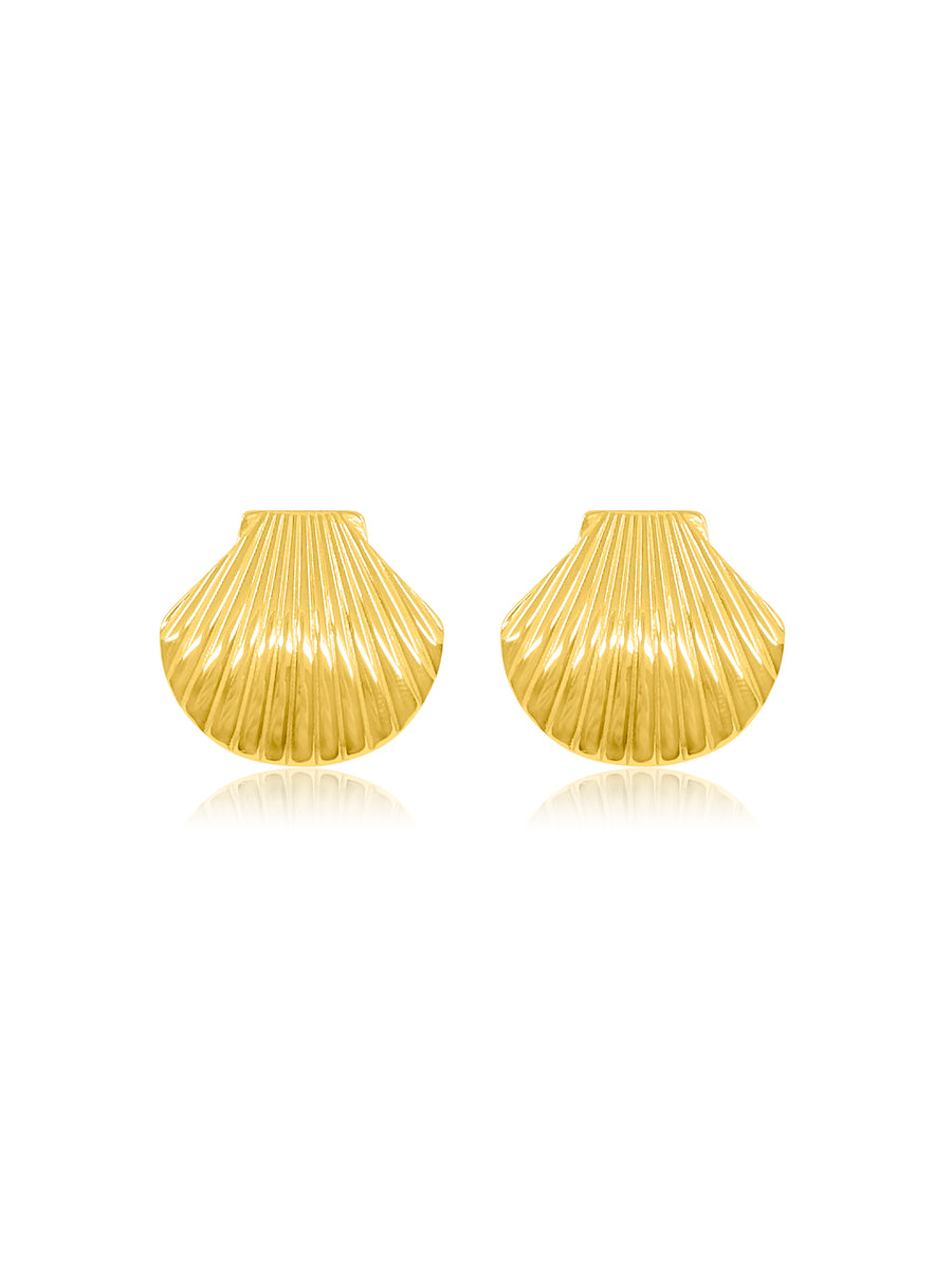Clam Shell Gold Earrings
